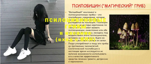 СК Абаза